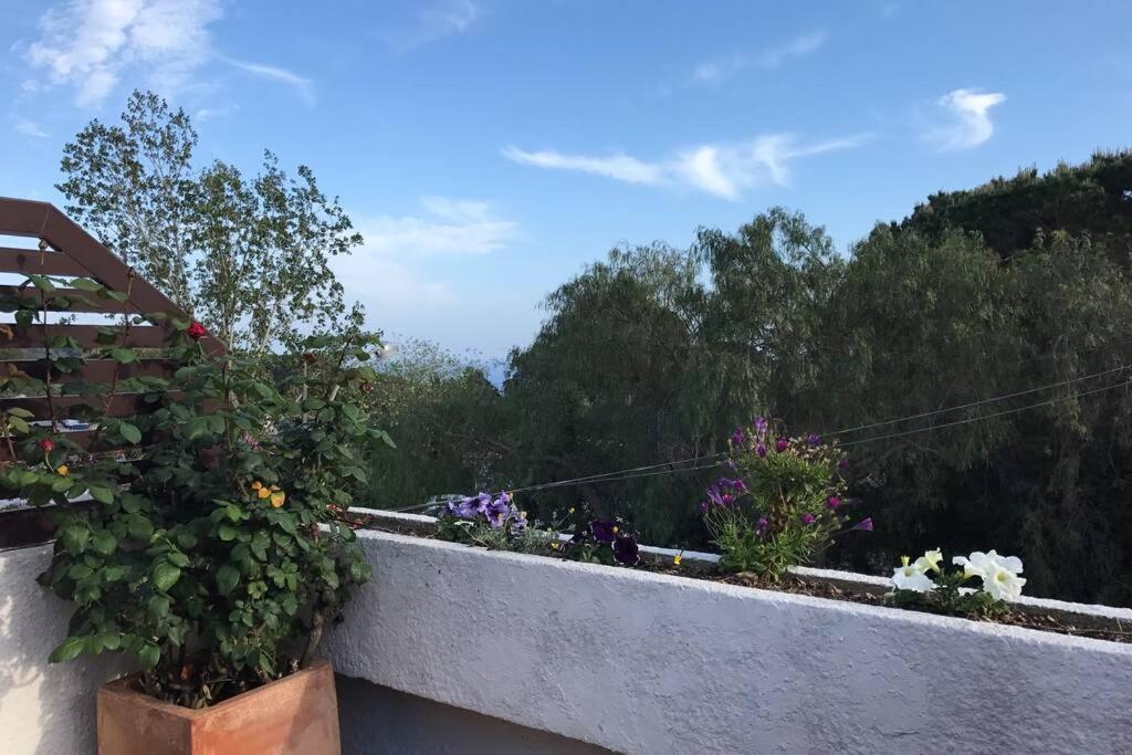 Casita Blanca Con Fibra Optica Y Piscina Cominutaria Villa Tossa de Mar Luaran gambar